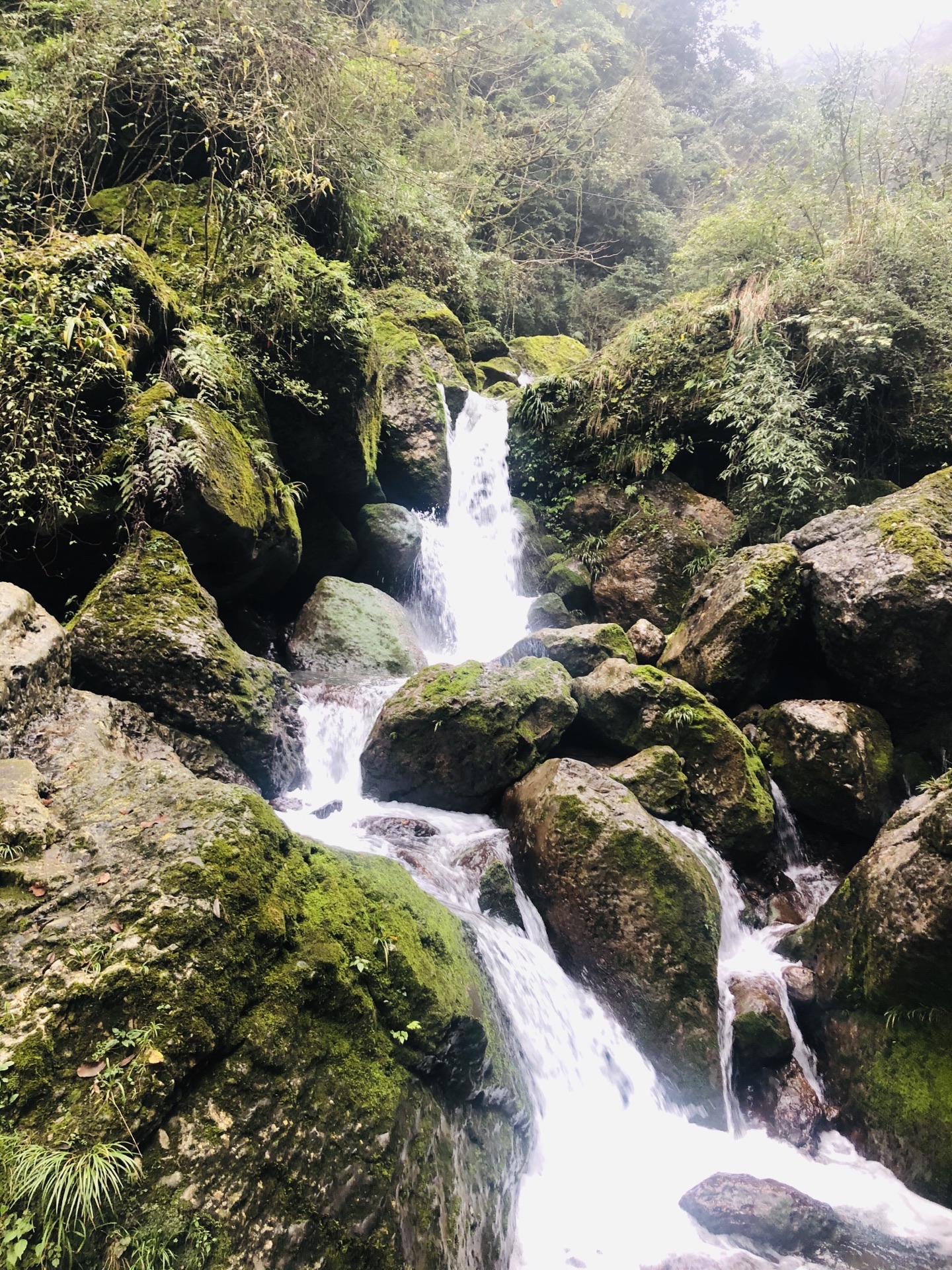 青城後山