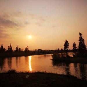 10071b000001b831zD197_C_300_300.jpg