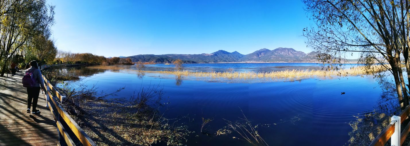 拉市海旅遊景點攻略圖