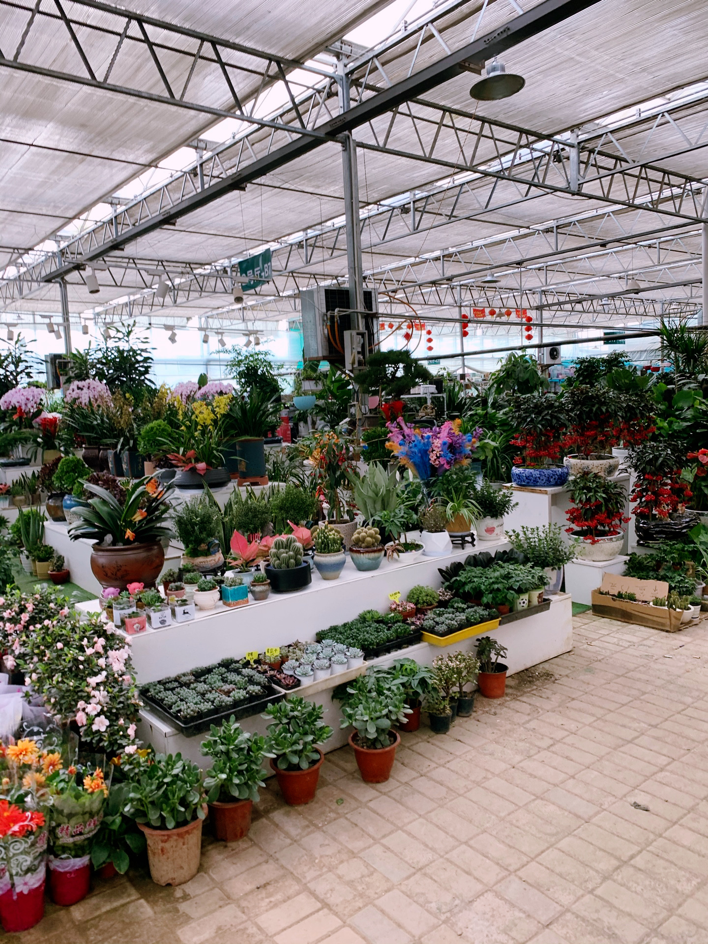 2023谷里花木园农家乐美食餐厅,有不少苗木盆栽都是颇受欢迎.