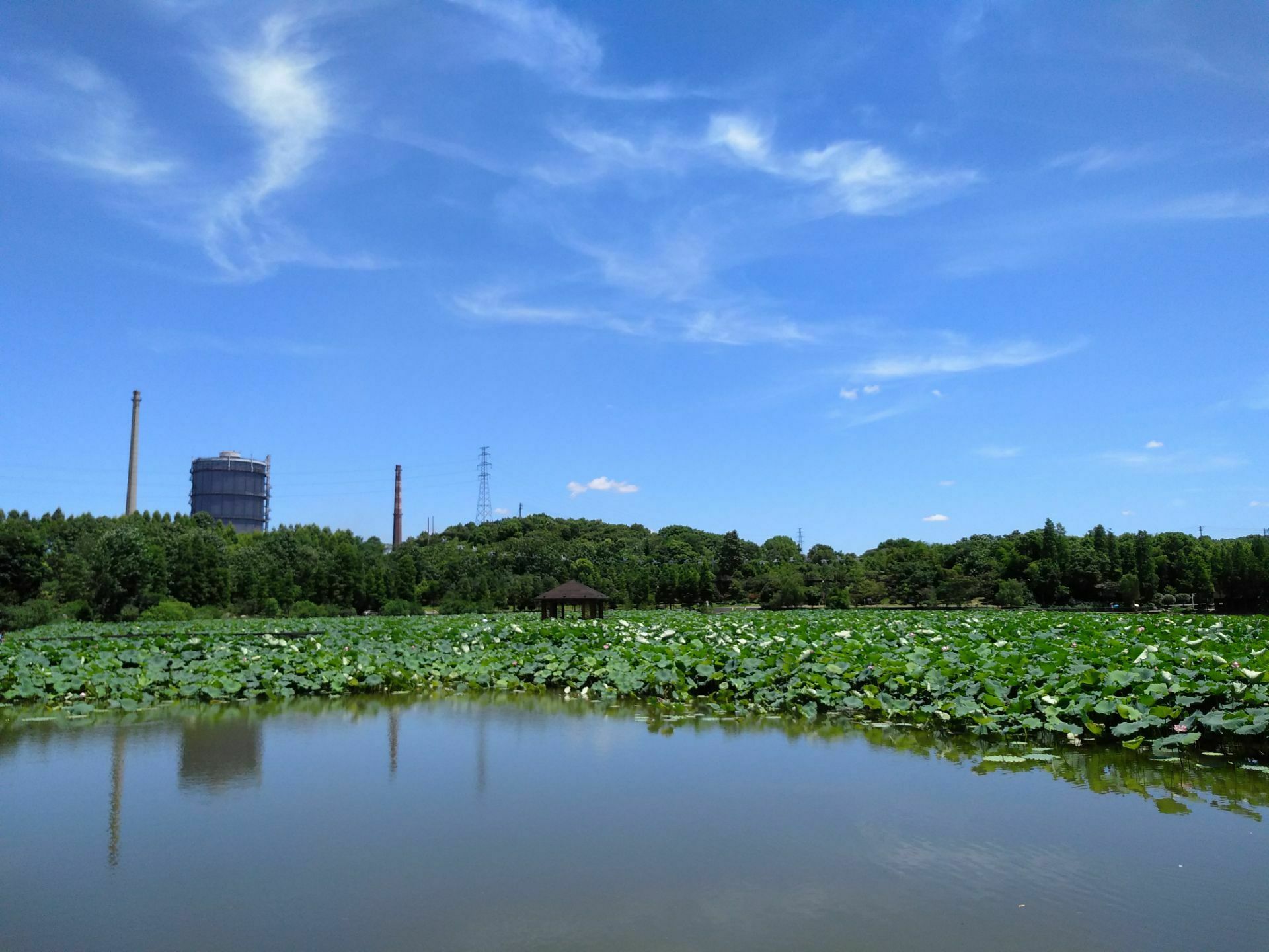 衡阳南郊公园图片