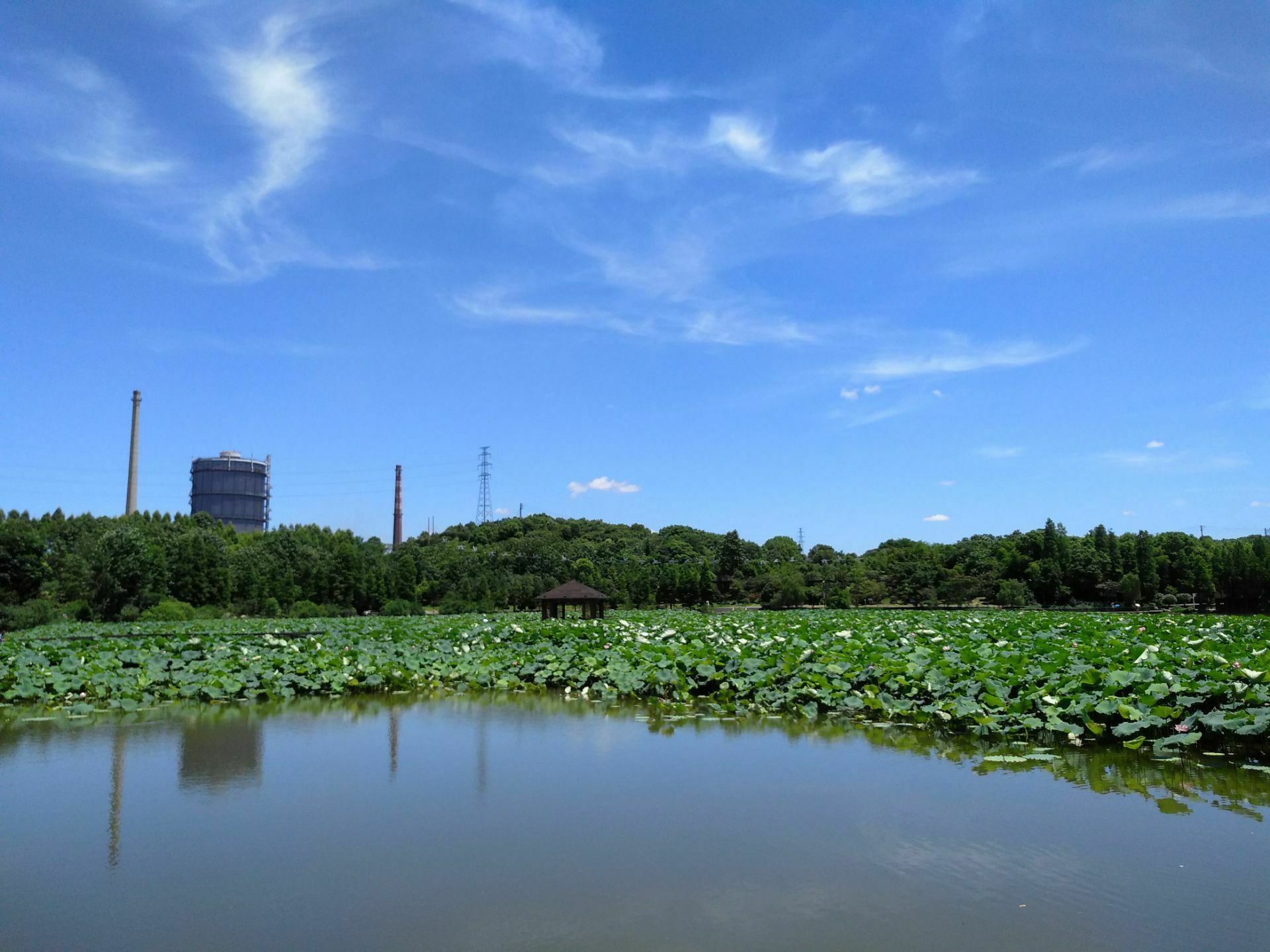 【攜程攻略】衡陽衡陽南湖公園景點,去過中國很多的南湖公園,沒有想到