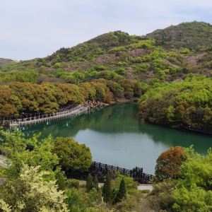 白马涧龙池风景区图片