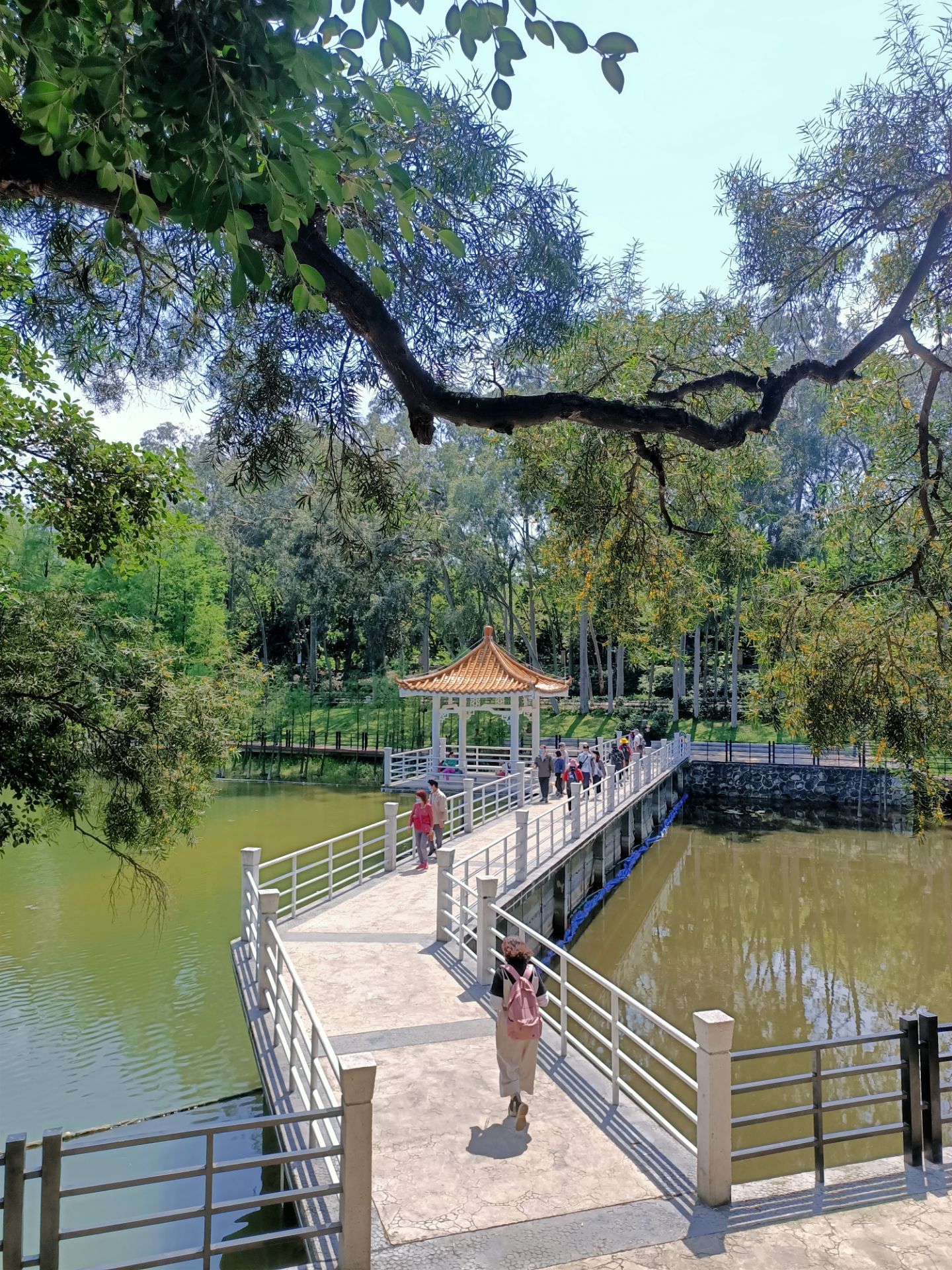 經中山紀念堂,越秀公園,花果山,雕塑公園,麓湖,直達白雲山的步行棧道