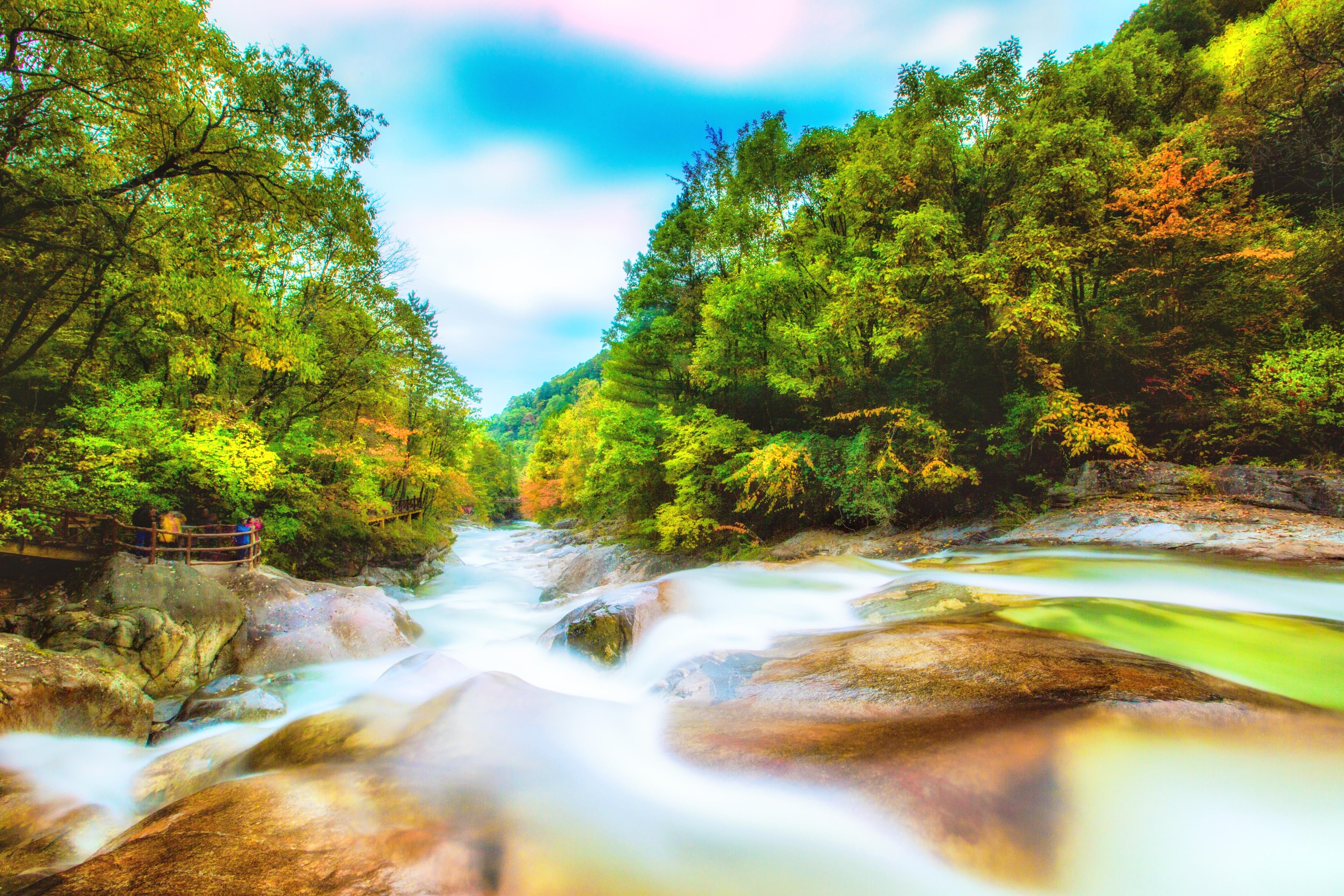 太白黄柏塬大箭沟景区攻略,太白黄柏塬大箭沟景区门票/游玩攻略/地址