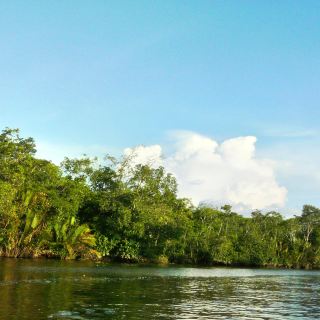 大山脚休养林   分 5条点评 景点 森林 自然风光 距景点1.2km