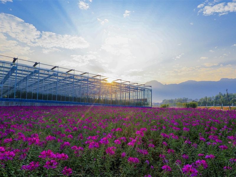 芦溪武功山花涧里攻略-武功山花涧里门票价格多少钱-团购票价预定优惠