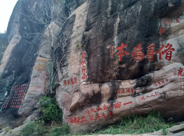 1008050000000ehfnC8A0_R_600_10000_Q90.jpg?proc=autoorient