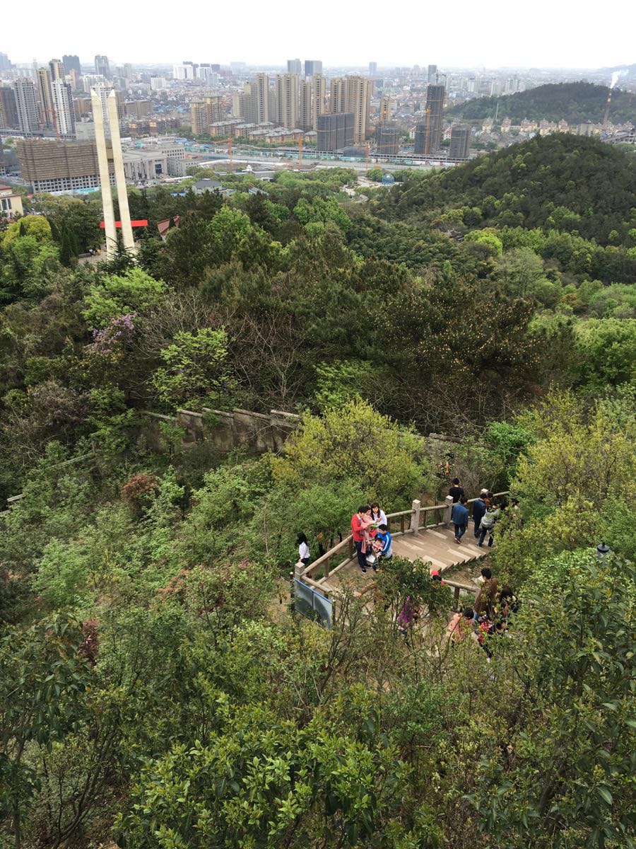 峙山公园山顶图片