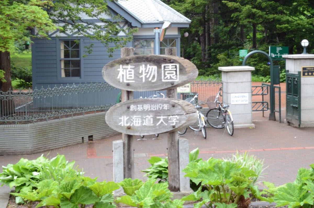 北海道大学植物园图片