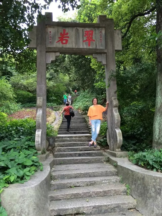 佛山人口最密集在哪里_佛山户籍人口统计图