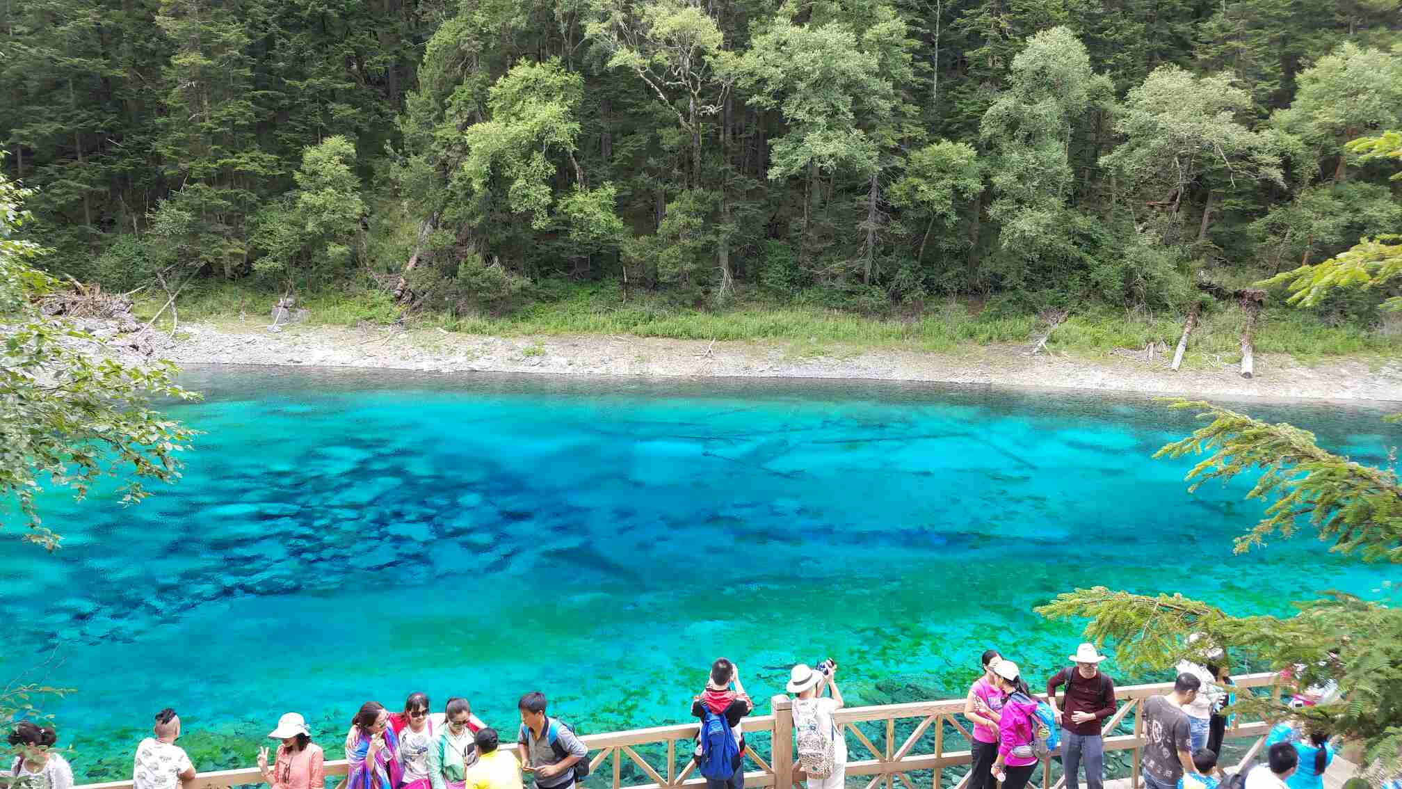 九寨沟旅游几月份最佳时间(九寨沟旅游几月份最佳时间!)