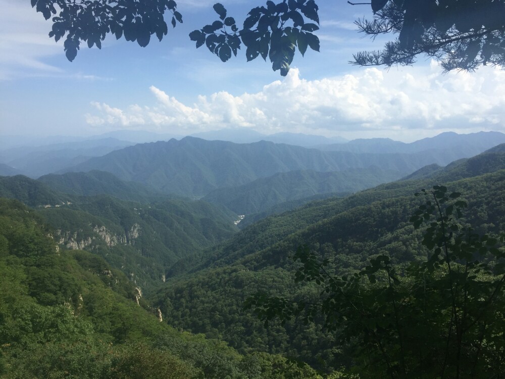 牛背梁國家森林公園