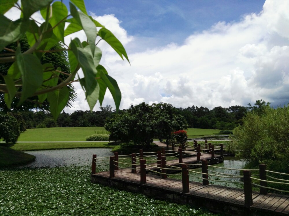 中科院西雙版納熱帶植物園