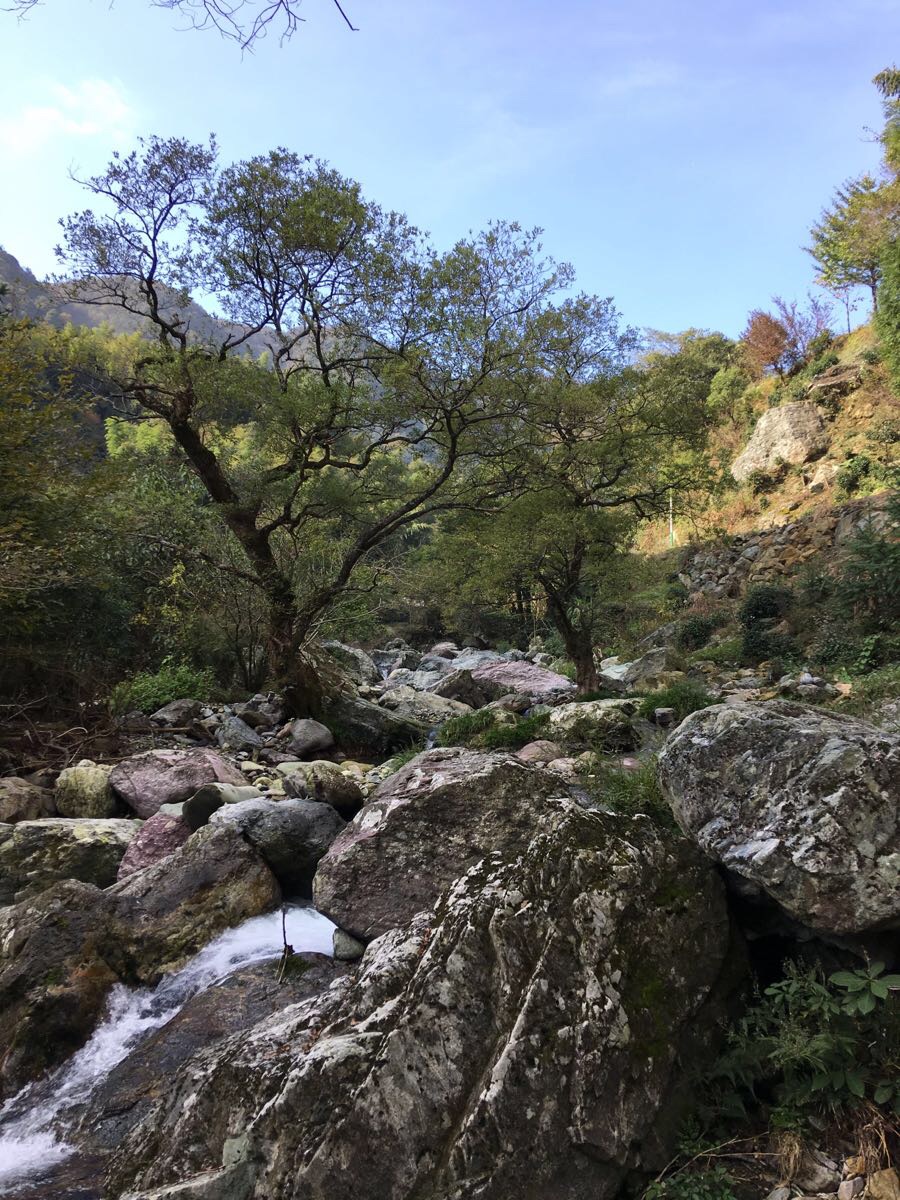 2018仙寓山_旅遊攻略_門票_地址_遊記點評,東至旅遊景點推薦 - 去哪兒