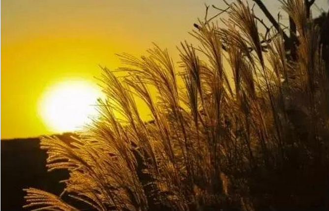 关于周末愉快的一段话 10080a0000004s4jdE0D6_R_1024_10000_Q90.png?proc=autoorient