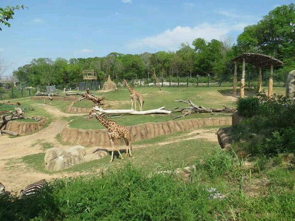 Fossil rim wildlife center discount coupons