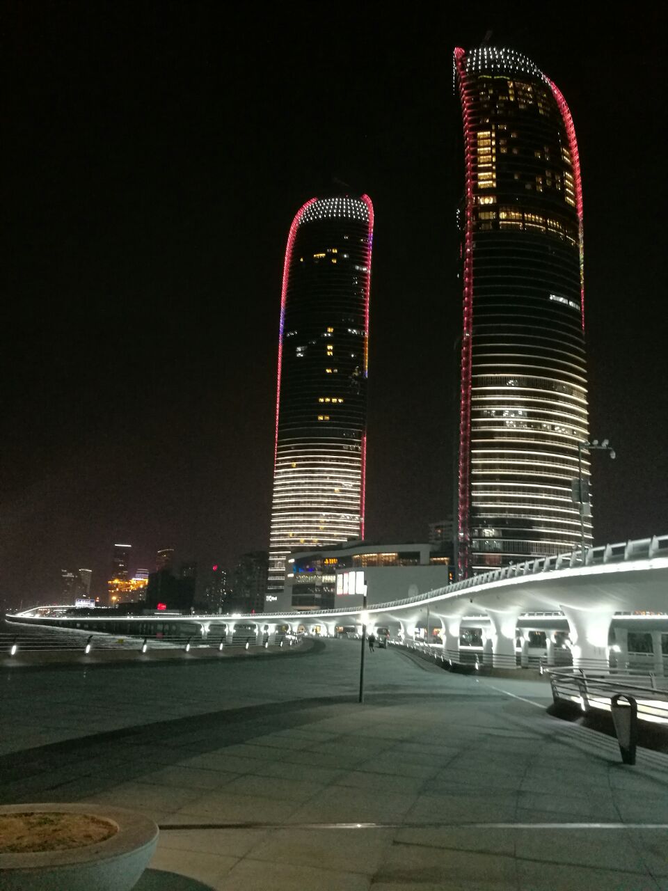 演武大桥观景平台