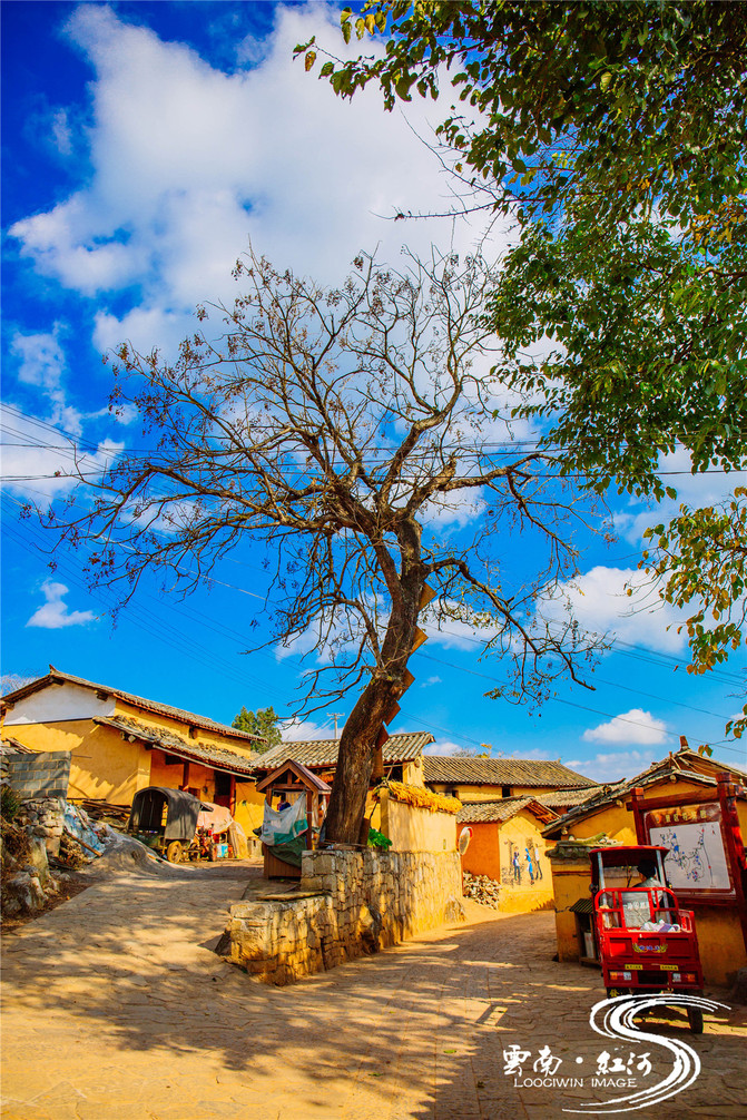 【云南】欢喜红河,与哈尼族人民载歌载舞