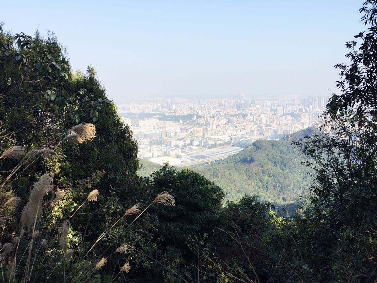 羊台山森林公园