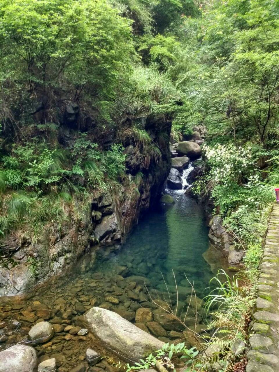 2019大奇山國家森林公園_旅遊攻略_門票_地址_遊記點評,桐廬旅遊景點