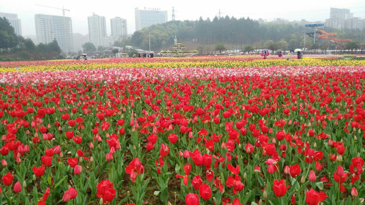 2019湖南省森林植物园_旅游攻略_门票_地址_游记点评,长沙旅游景点