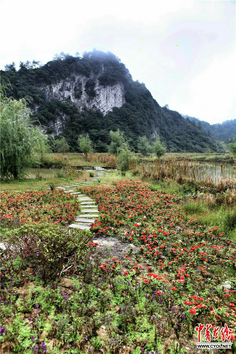 花坝旅游景区