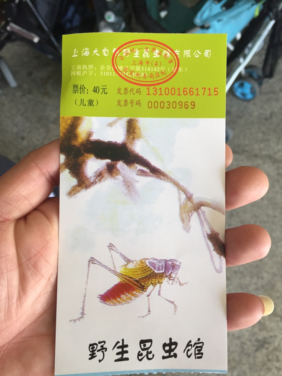 2019上海大自然野生昆虫馆_旅游攻略_门票_地址_游记点评,上海旅游