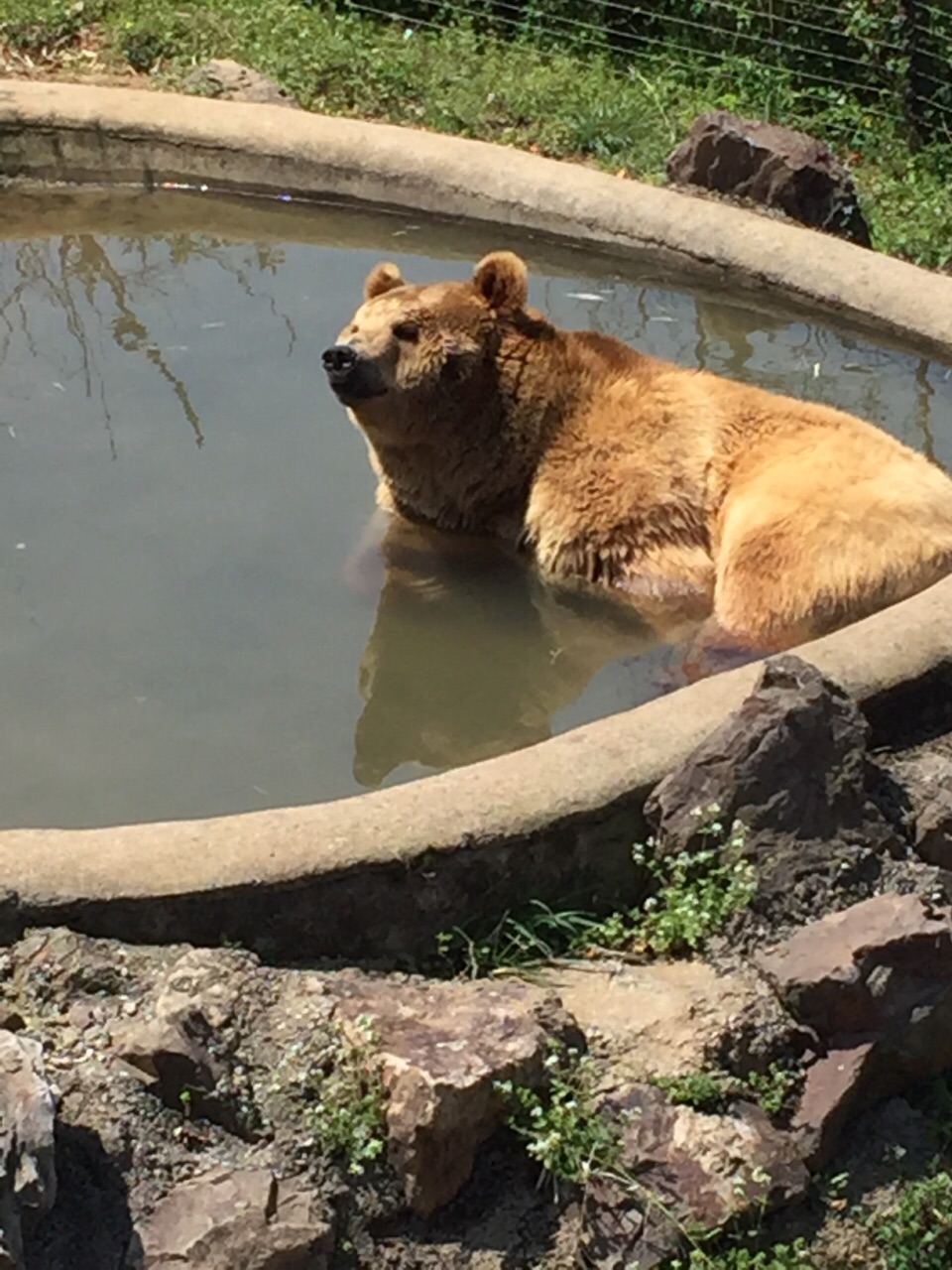 無錫動物園(太湖歡樂園)旅遊景點攻略圖