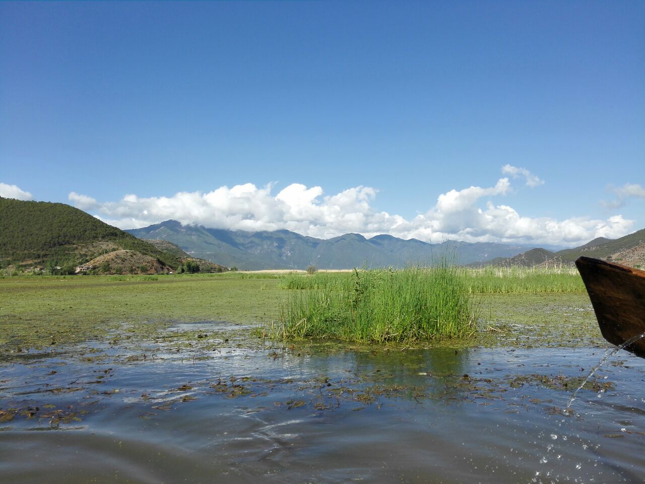 2019草海_旅遊攻略_門票_地址_遊記點評,瀘沽湖旅遊景點推薦 - 去哪兒