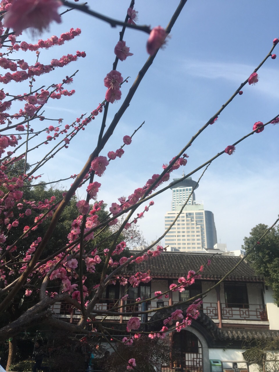 【攜程攻略】上海梅園公園景點,位於陸家嘴社區附近,難得的城市免費