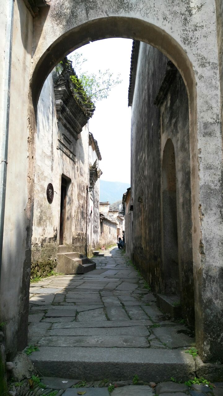 2019盧村_旅遊攻略_門票_地址_遊記點評,黟縣旅遊景