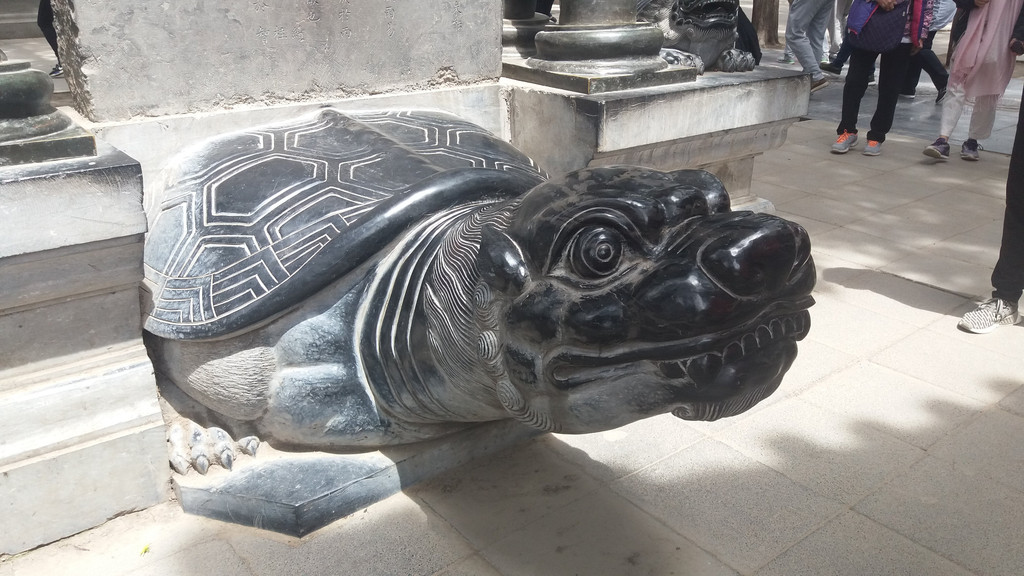 河南十日游,行走南太行,邂逅牡丹花,越历史千年,听少林禅音