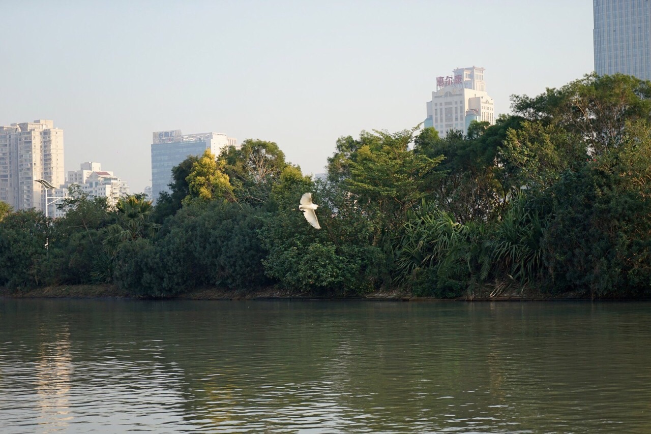 白鷺洲公園