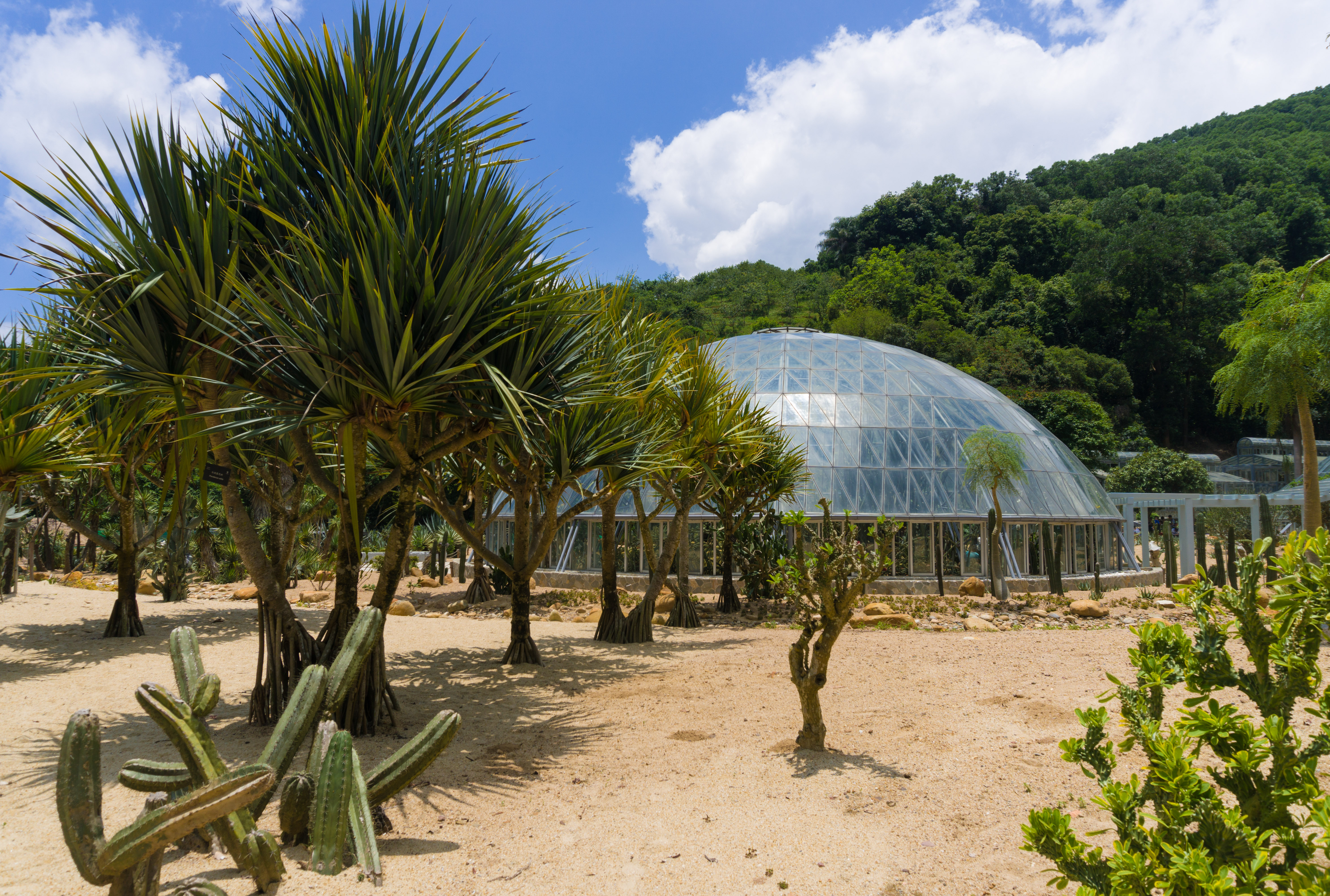 深圳仙湖植物園攻略-仙湖植物園門票價格多少錢-團購票價預定優惠