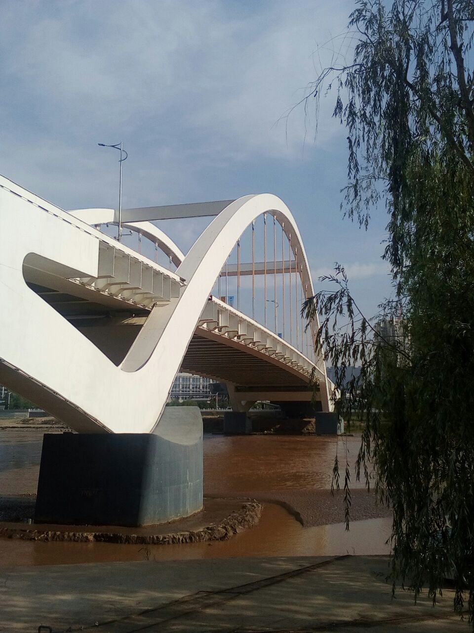 雁青黄河大桥图片