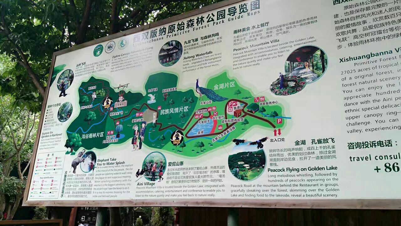 西双版纳西双版纳原始森林公园 大佛寺一日游【拼团一日游】