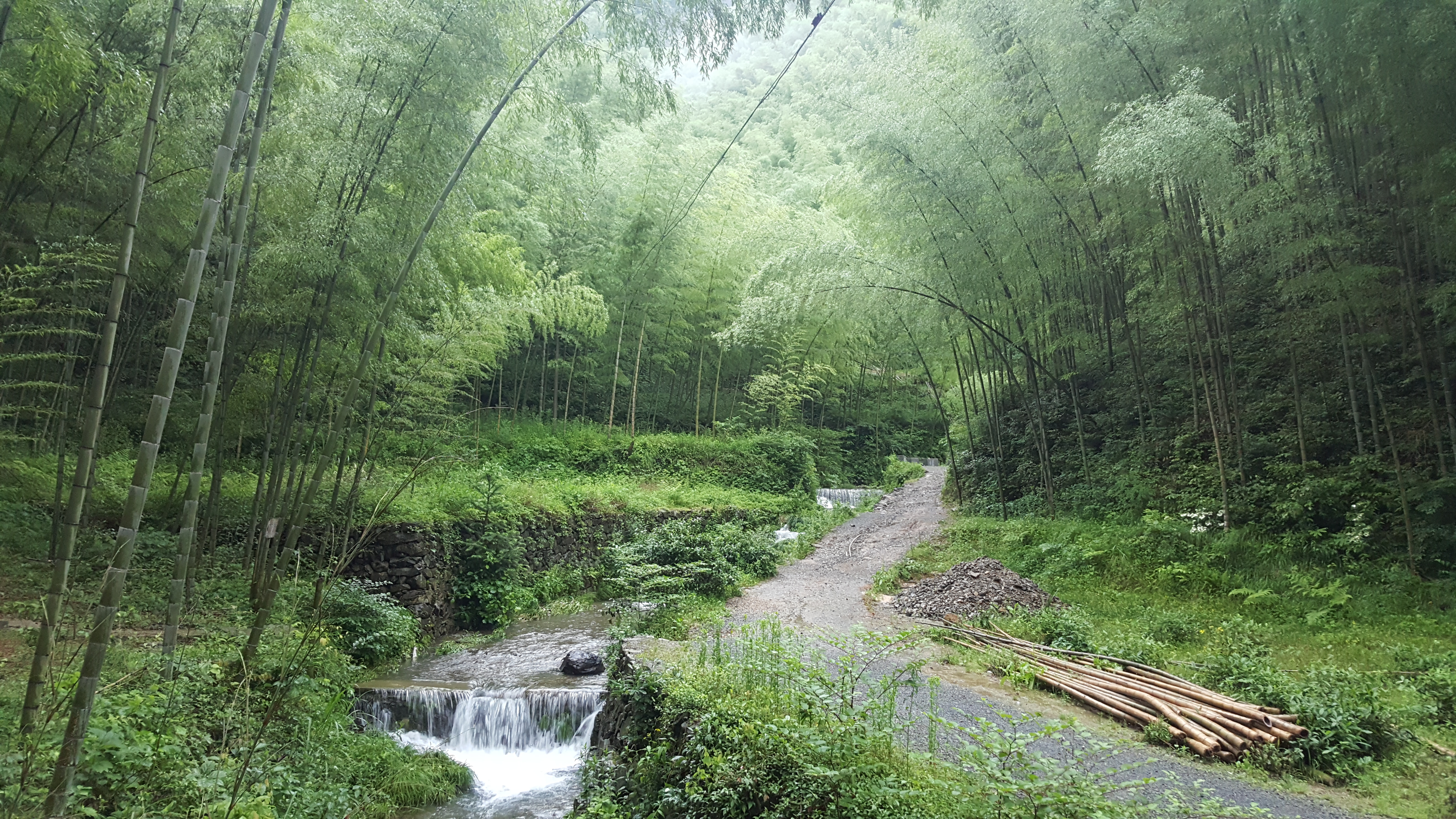 以黄山为首,在皖南众多景区里有个小景点叫木坑竹海,是电影《卧虎