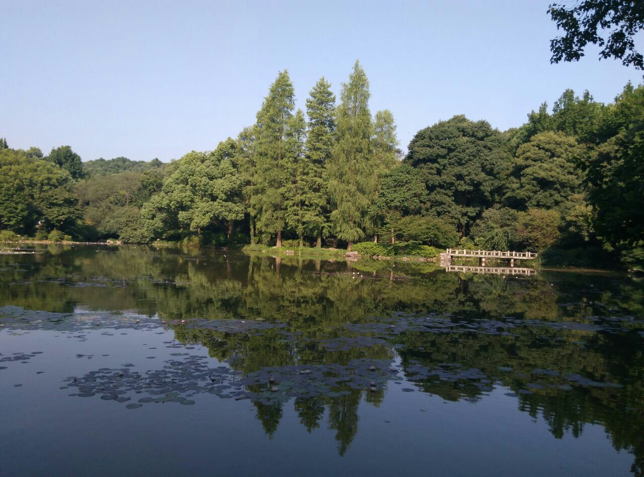 杭州植物園旅遊景點攻略圖