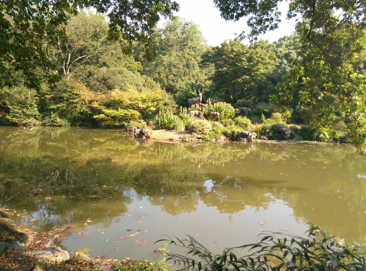 杭州植物園