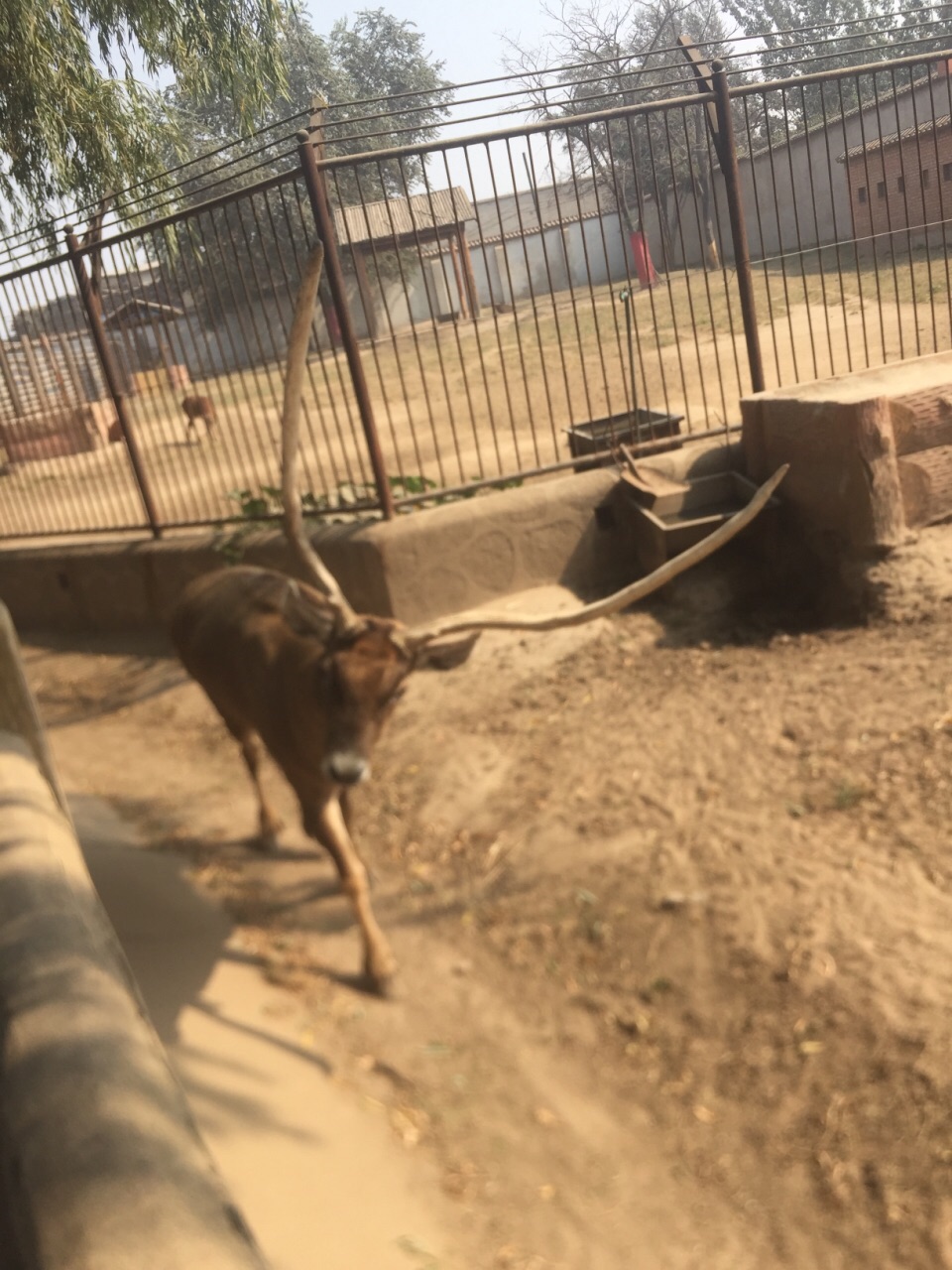 2019太原動物園_旅遊攻略_門票_地址_遊記點評,太原旅遊景點推薦 - 去