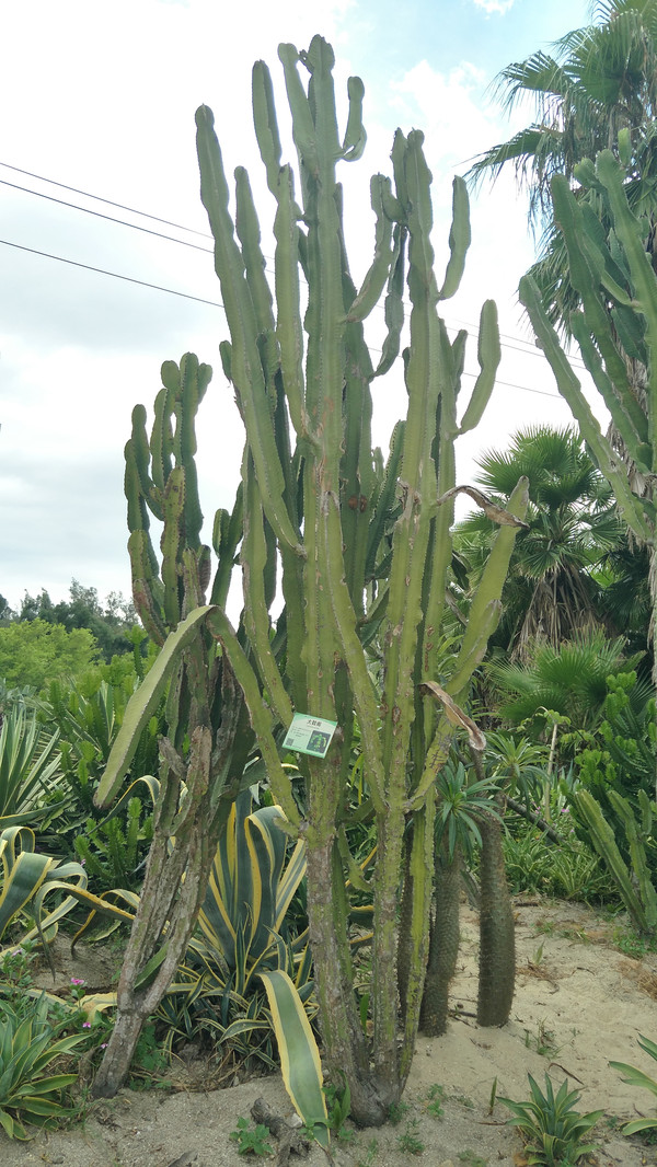 厦门--晴时有风阴有时雨