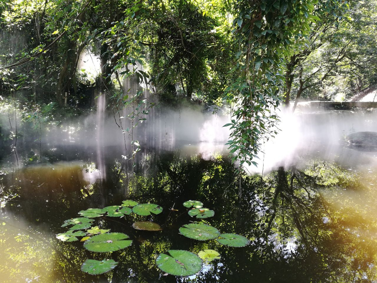 廈門園林植物園