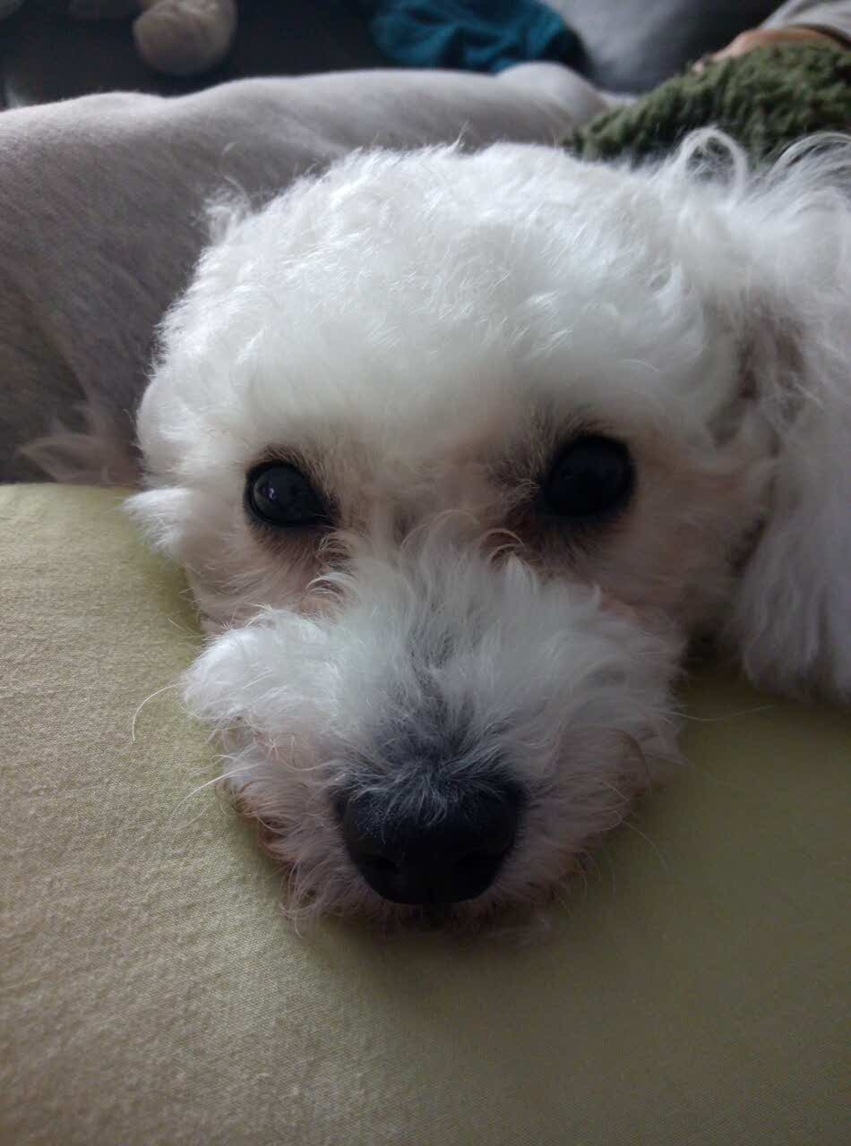 独秀馒头(吴泾店)