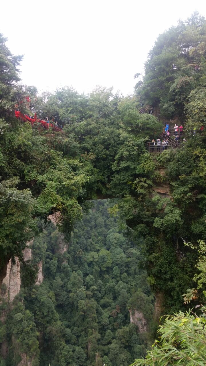 2019袁家界_旅遊攻略_門票_地址_遊記點評,武陵源旅遊景點推薦 - 去