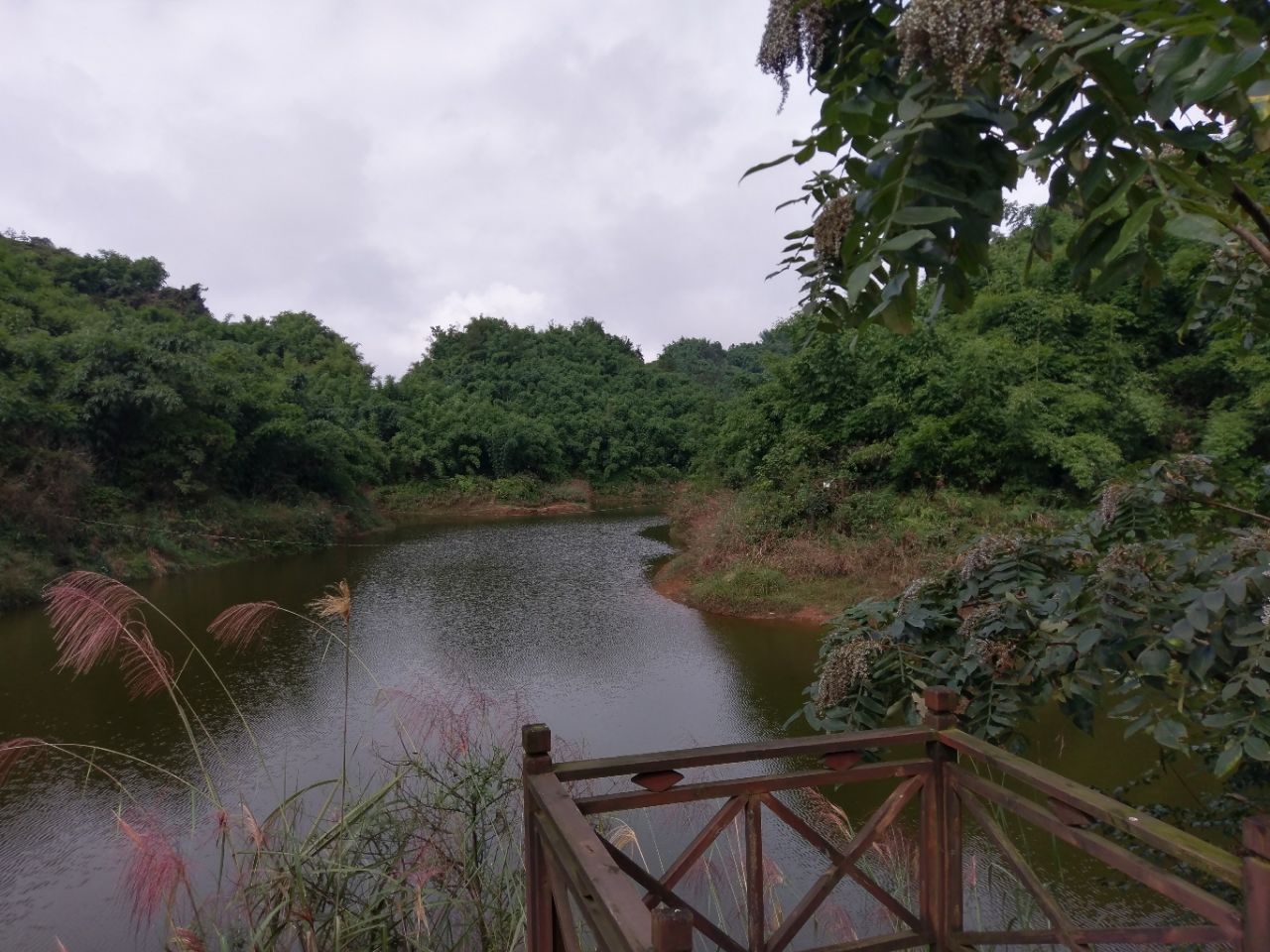 沐川竹海