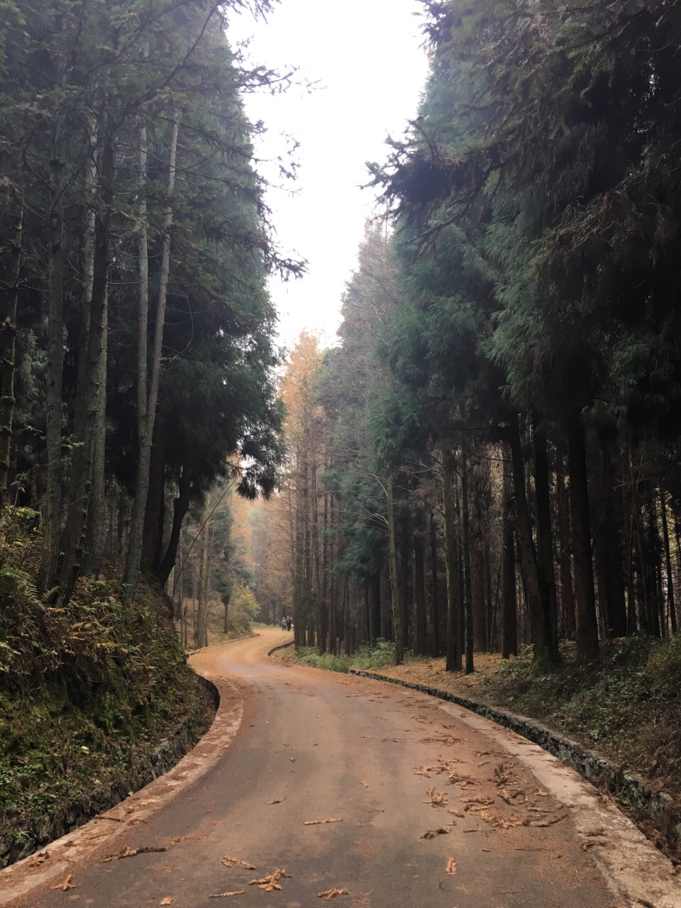 2018山王坪喀斯特國家生態公園_旅遊攻略_門票_地址_遊記點評,南川旅