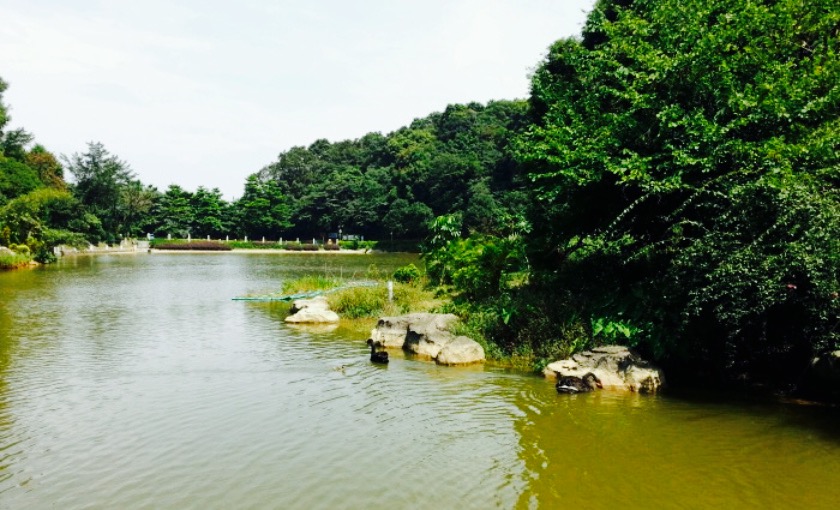 广州天湖自然风景区图片