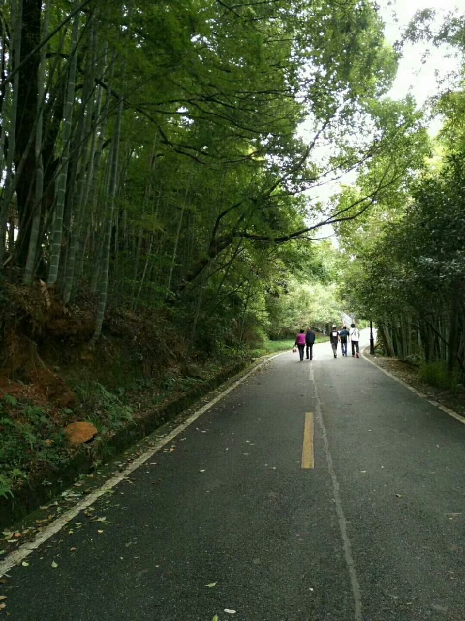 潛山國家森林公園