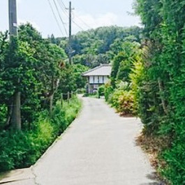 君津市美食攻略 君津市人气特色餐厅推荐 大全 排行榜 君津市必吃餐厅推荐 携程美食林